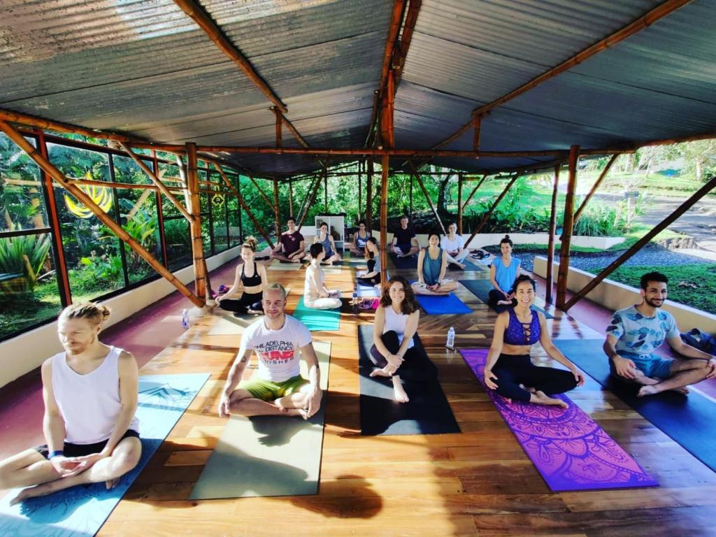 Rain Forest yoga retreat