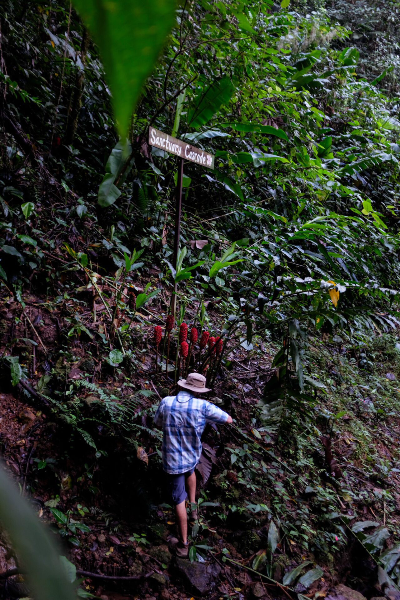 DSCF6806.jpg