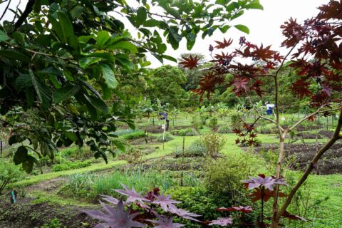 DSC05290-1.jpg